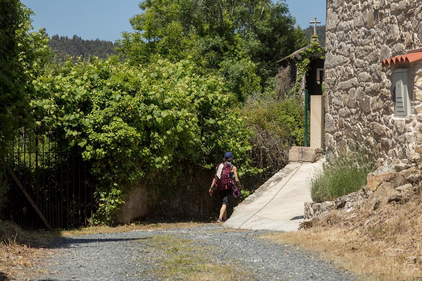 Landras De Compostela Guest House ซานติอาโก เด กอมโปสเตลา ภายนอก รูปภาพ
